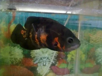 Photo0153.webp
