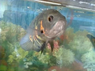 Photo0154.webp