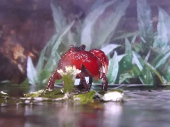DSCF0215.webp
