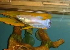 2013-08-24 21.43.08-2.webp
