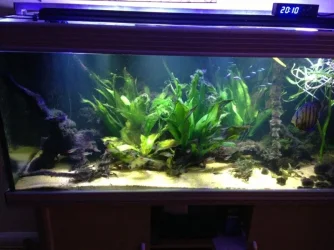 tanklights2.webp tanklights2.webp