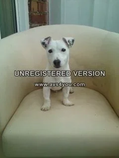 aug 2012 13630.webp