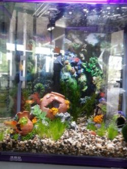 130902-10Gal.jpg 130902-10Gal.jpg