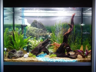 Fluval Profile 1000.webp