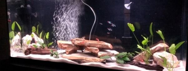 IMAG0605.jpg IMAG0605.jpg