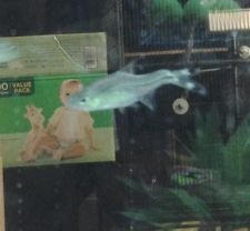 20130911_225617.jpg