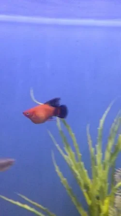 20130917_221114_3036.webp