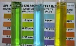 testvials.jpg