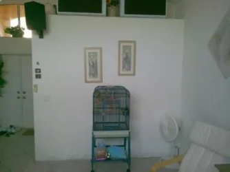 2013-09-29 18.28.23 (1).webp