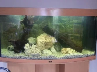 tank.webp