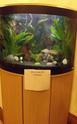 DSCF0328.webp