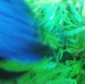 IMG_20131010_153653 (1).webp