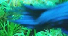 IMG_20131010_153714 (1).webp