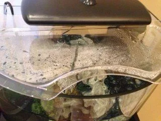 photo-9.webp