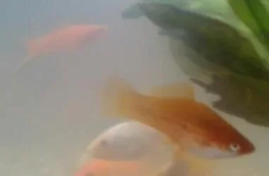 2013-10-12 10.31.55-1.webp