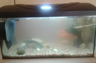 2013-10-12 10.26.05-1.webp