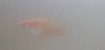 2013-10-12 10.12.36-1.webp