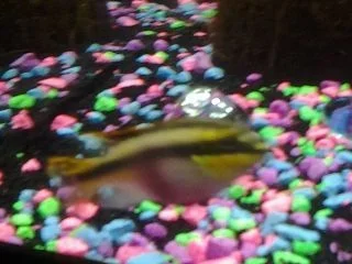 20131015_150307.webp