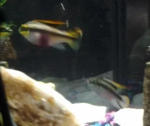 20131015_150410.webp