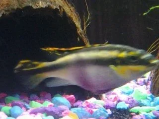 20131015_172724.webp