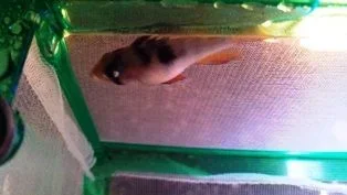 IMG_20131016_201147_780.webp