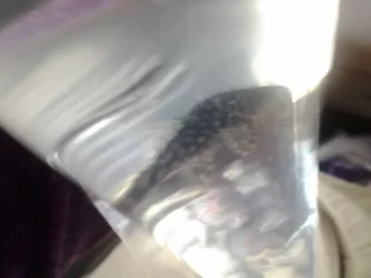 20131018_173318.webp