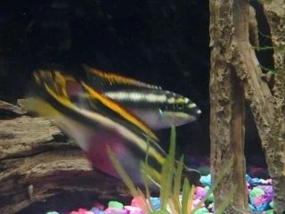 20131025_032521.webp