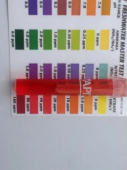 nitrate tap water.webp