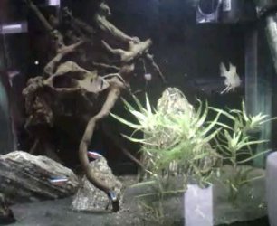VID_0009.jpg VID_0009.jpg