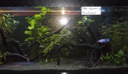 DSCF4835.webp
