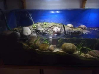 RIMG0080.webp RIMG0080.webp