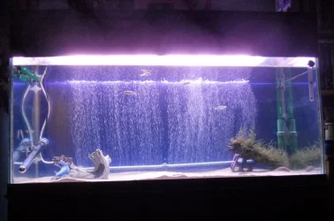 DSCN1418.webp