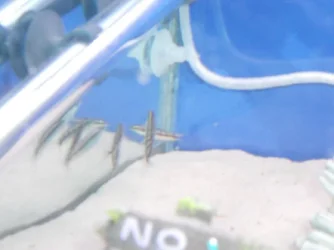 DSCN1420.webp