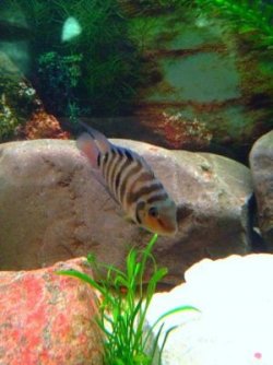 IMG_2704.JPG