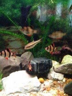 IMG_2700.JPG