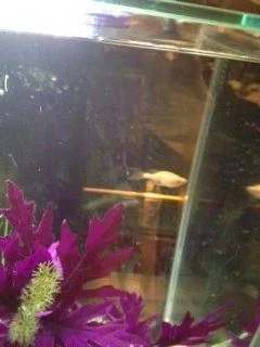 photo.webp