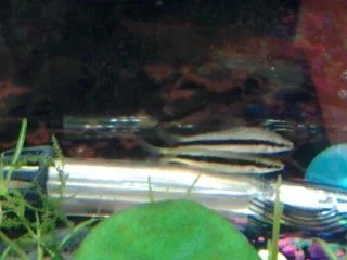 20131122_182032.webp