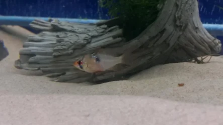 female 2.webp female 2.webp