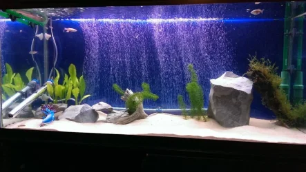 fts.webp fts.webp