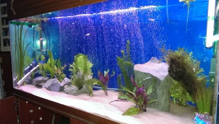 IMAG02801.webp IMAG02801.webp
