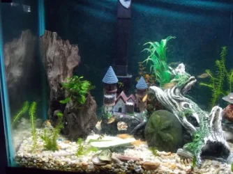 Left of tank.webp