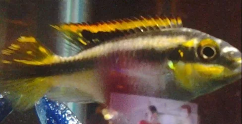 20131210_172504.webp