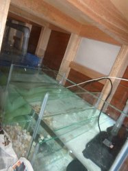 P1000998a.jpg P1000998a.jpg