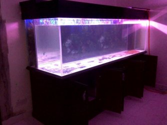 Kapar-20131208-03446.jpg Kapar-20131208-03446.jpg