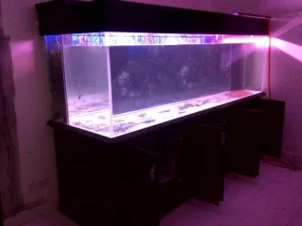 Kapar-20131208-03446.webp Kapar-20131208-03446.webp