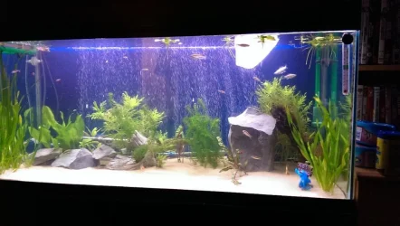 fts new.webp