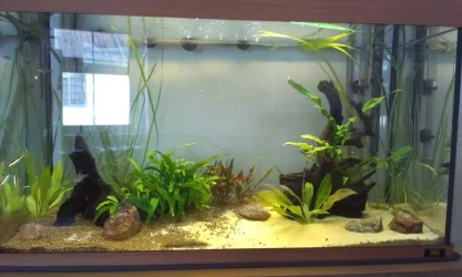 Tank.webp