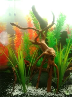 20131227_143811-1.webp
