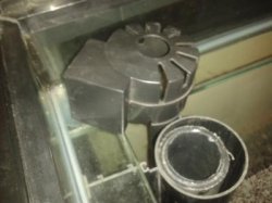 outlet-return endcapjpeg.jpg outlet-return endcapjpeg.jpg