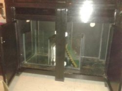 sumpjpeg.jpg sumpjpeg.jpg